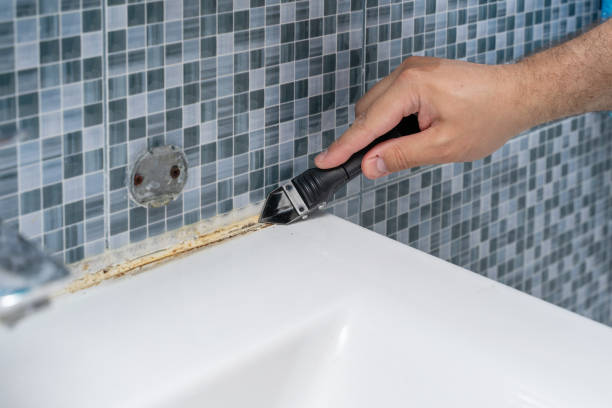 Best DIY Mold Remediation Support Services in Stratford, NJ